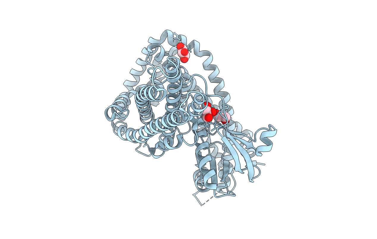 7CTP image
