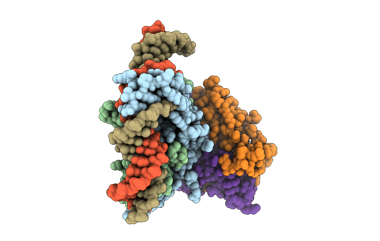 7CVO image