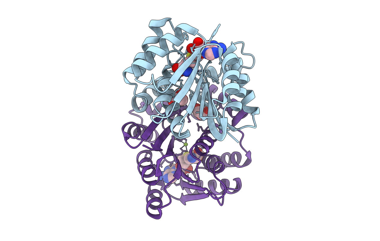 7CVW image