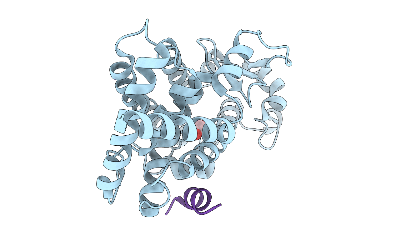 7CXF image