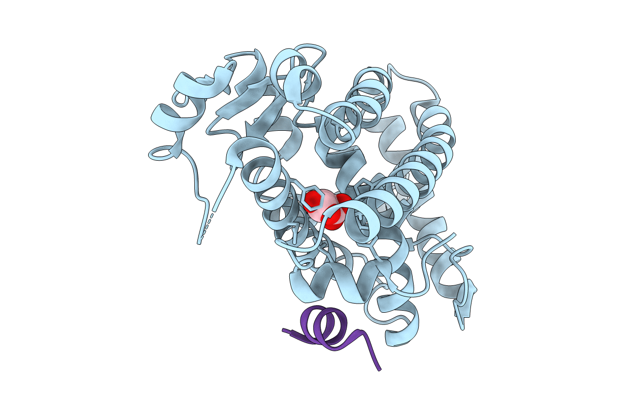 7CXK image
