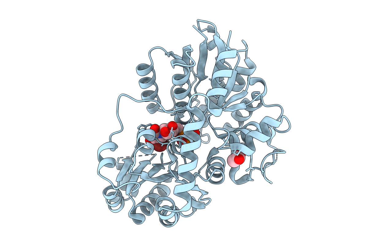 7CYW image