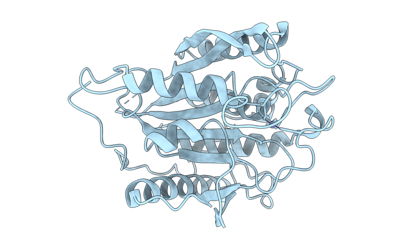 7D17 image