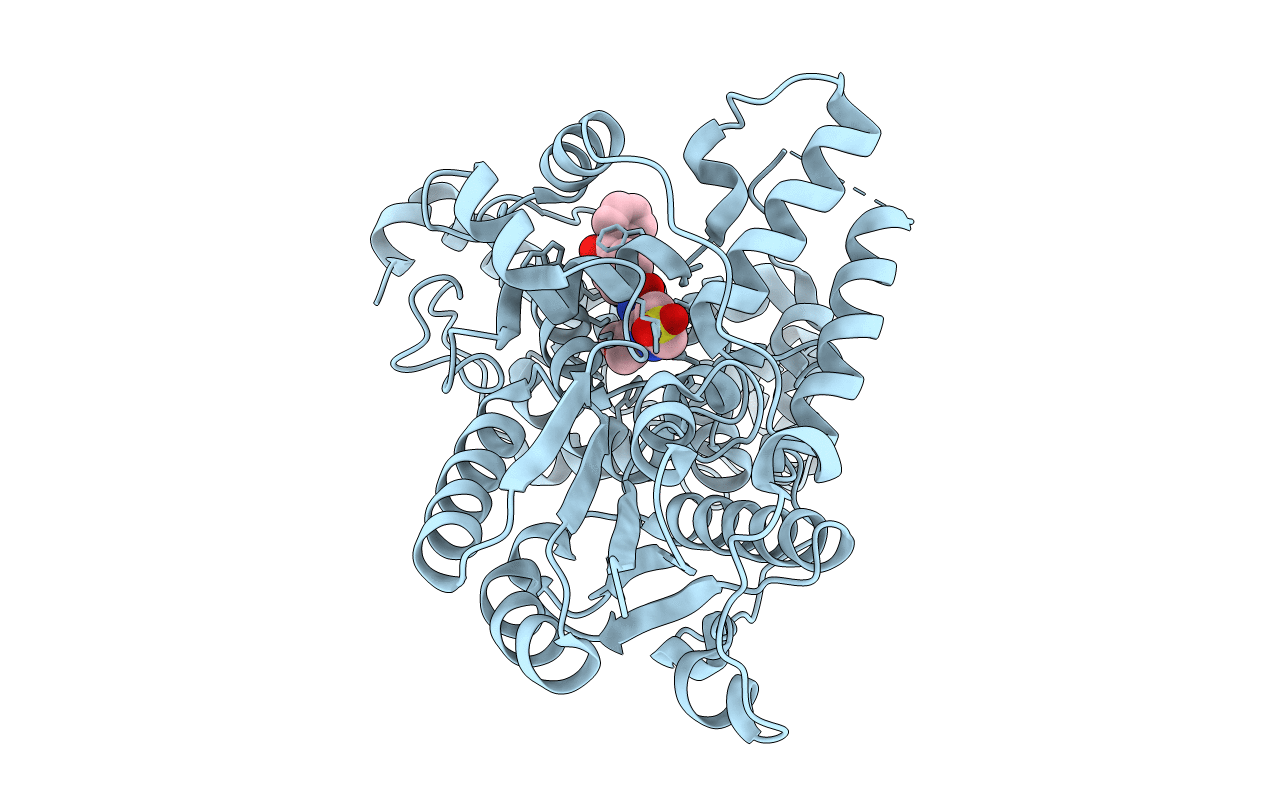 7D1C image