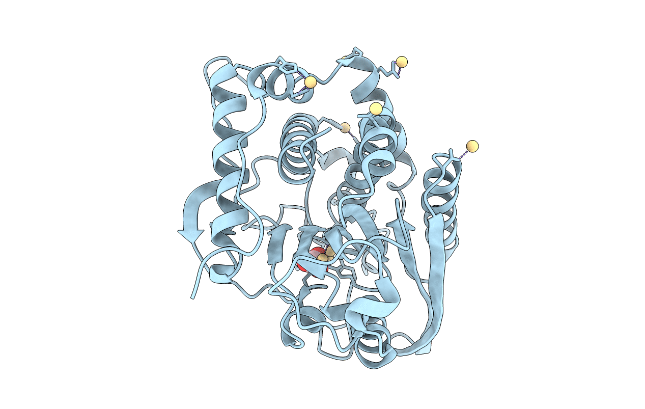 7D1P image