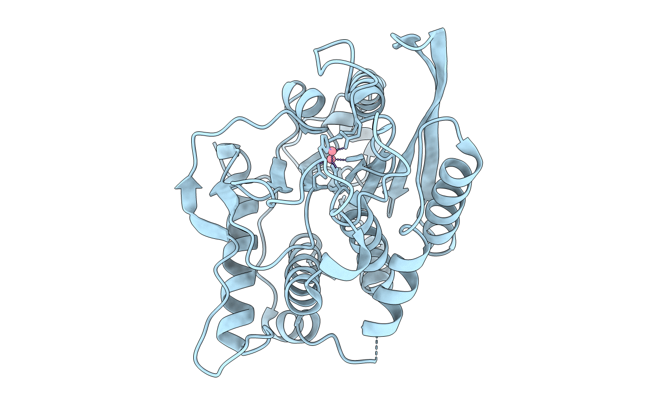 7D1Y image