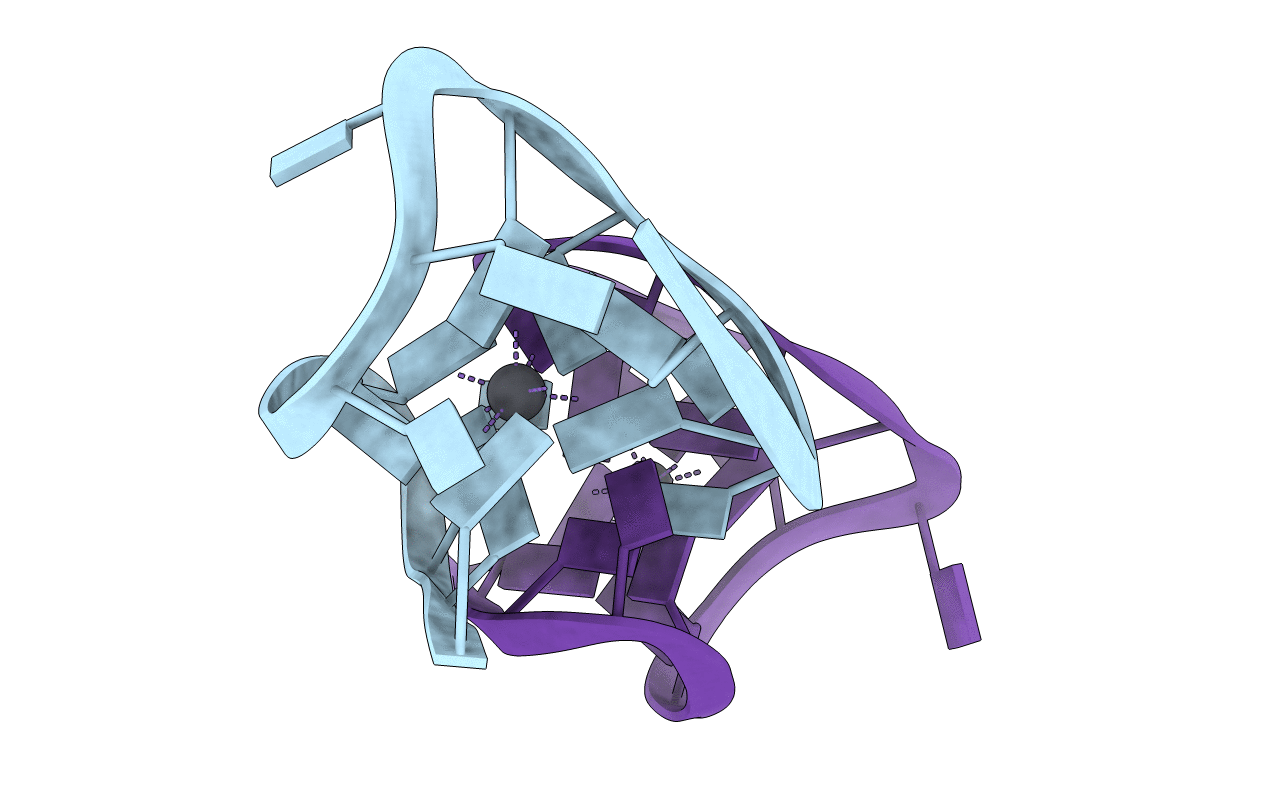 7D31 image