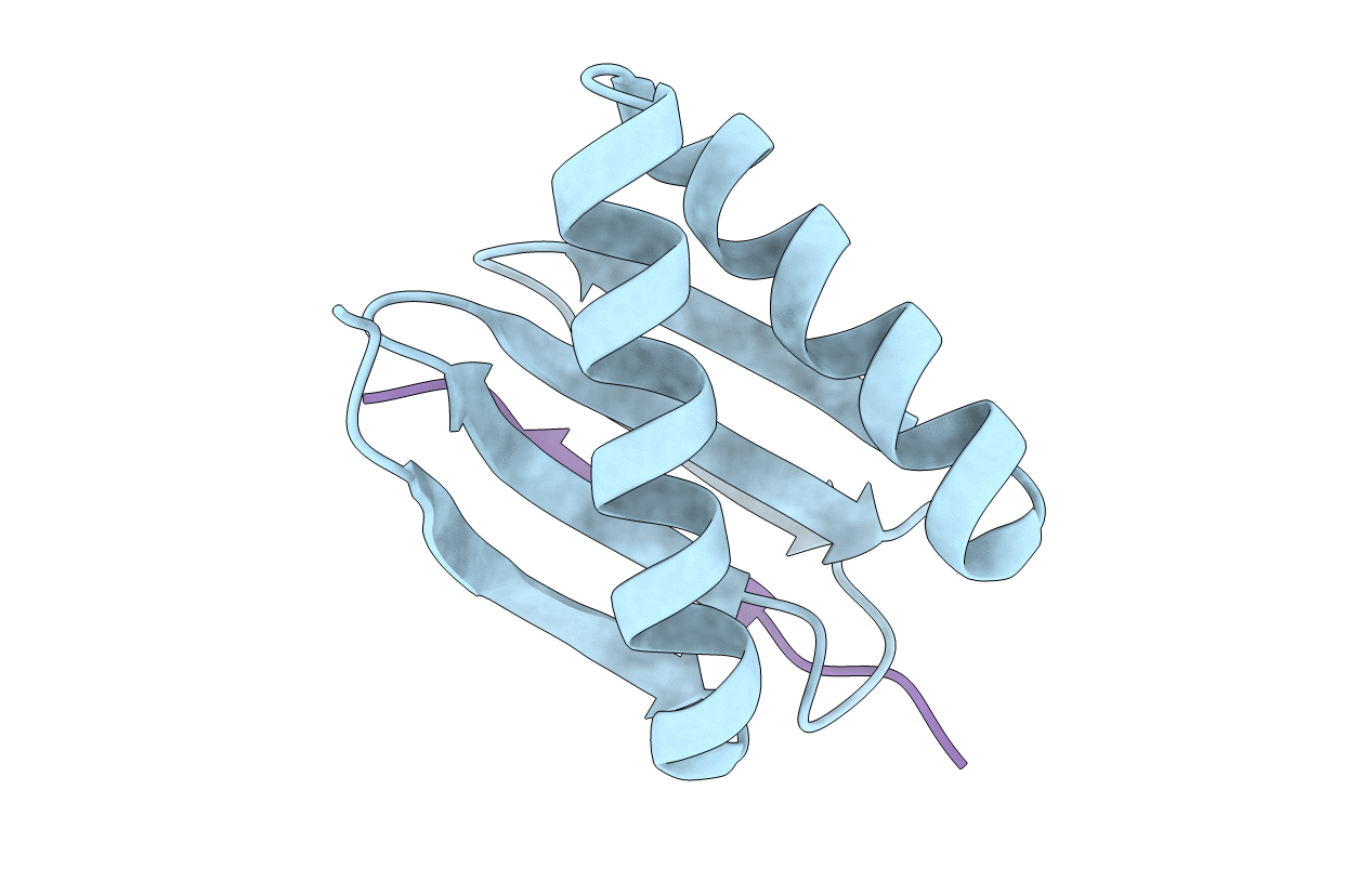 7D35 image