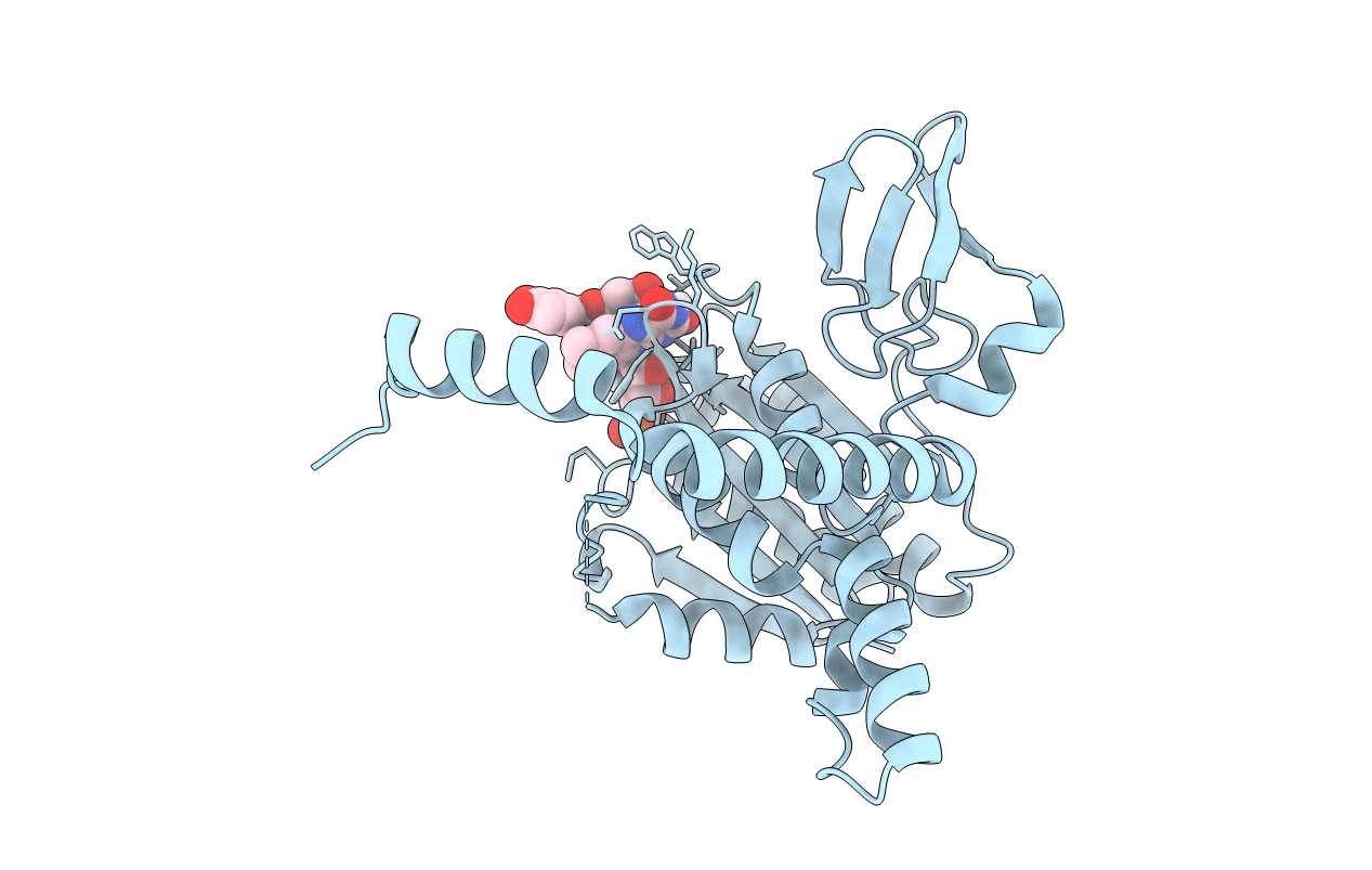 7D3B image