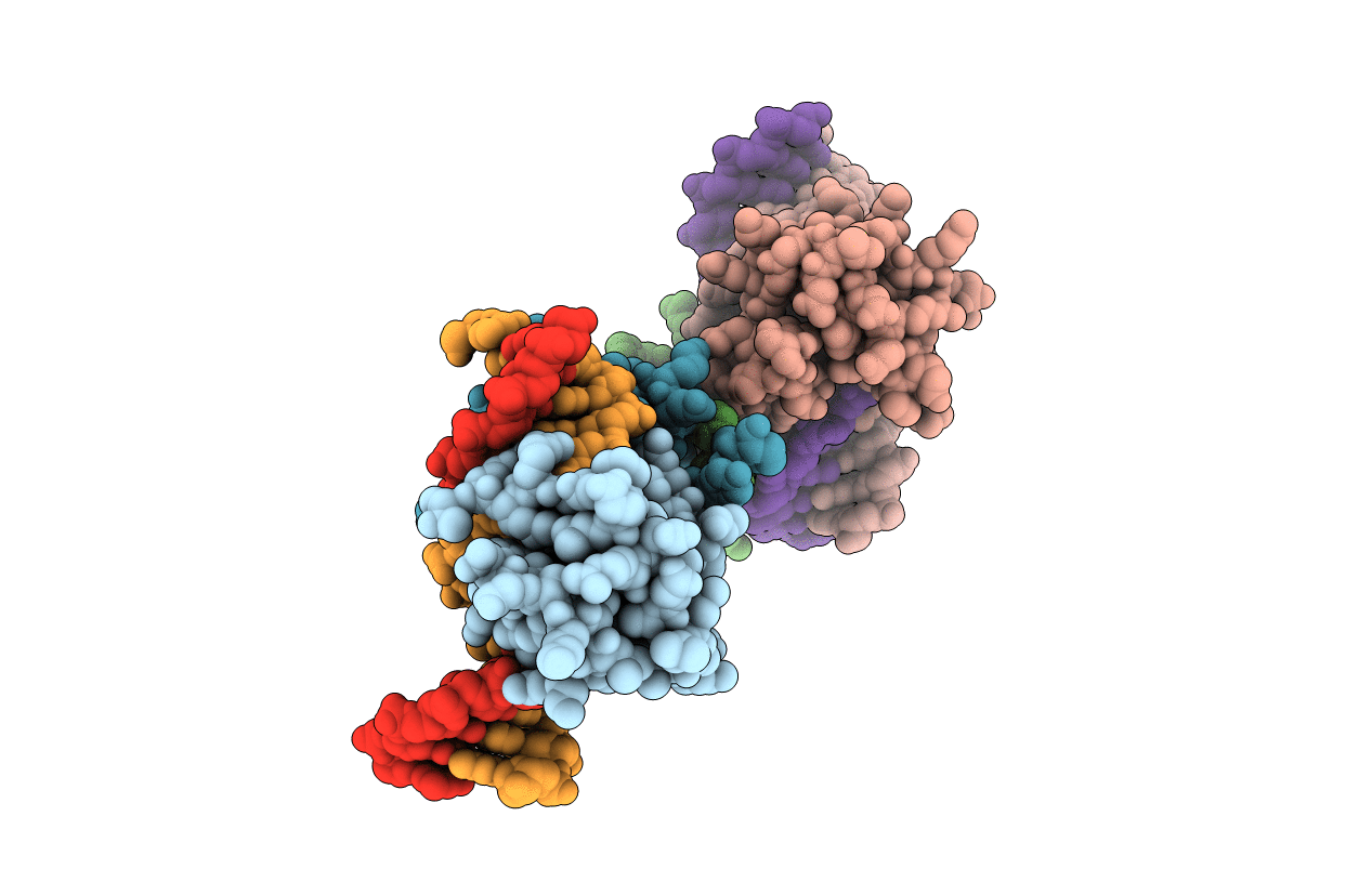 7D3T image