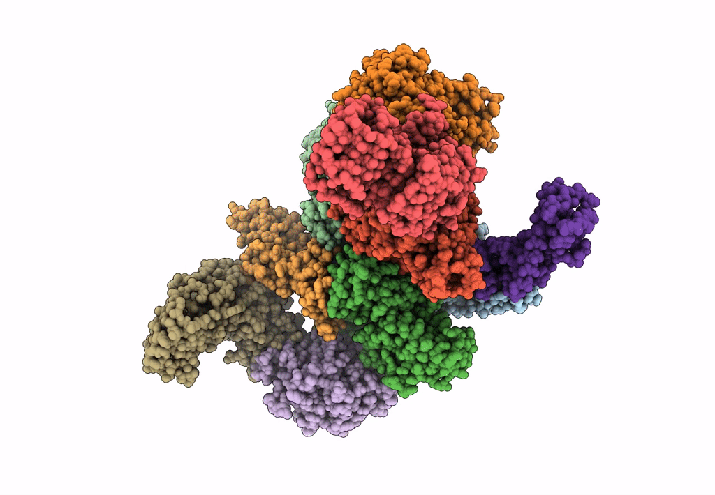 7D45 image