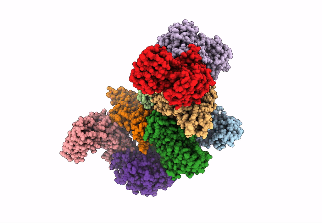 7D46 image