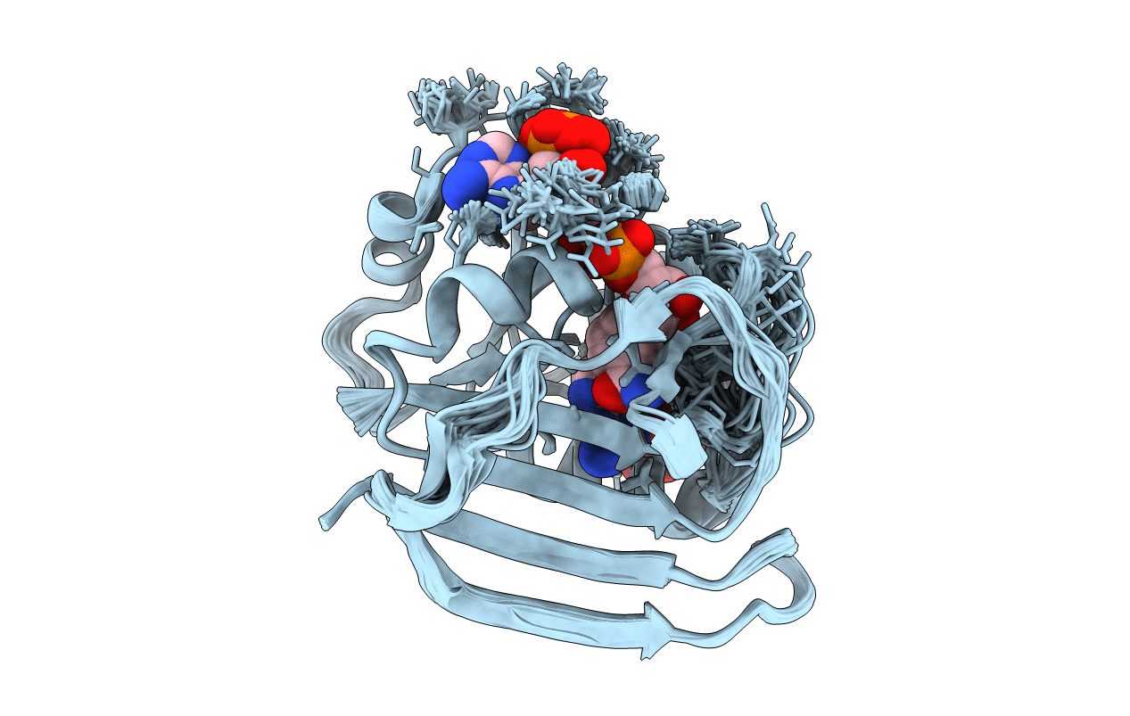 7D4X image