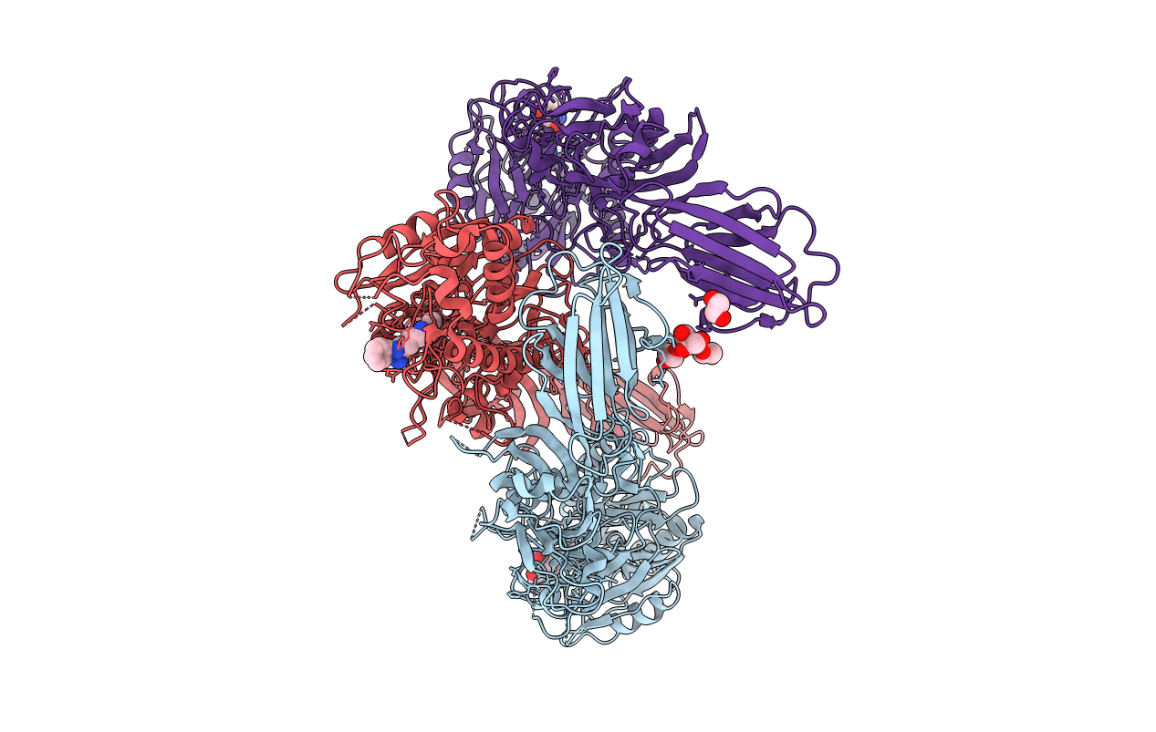 7D56 image