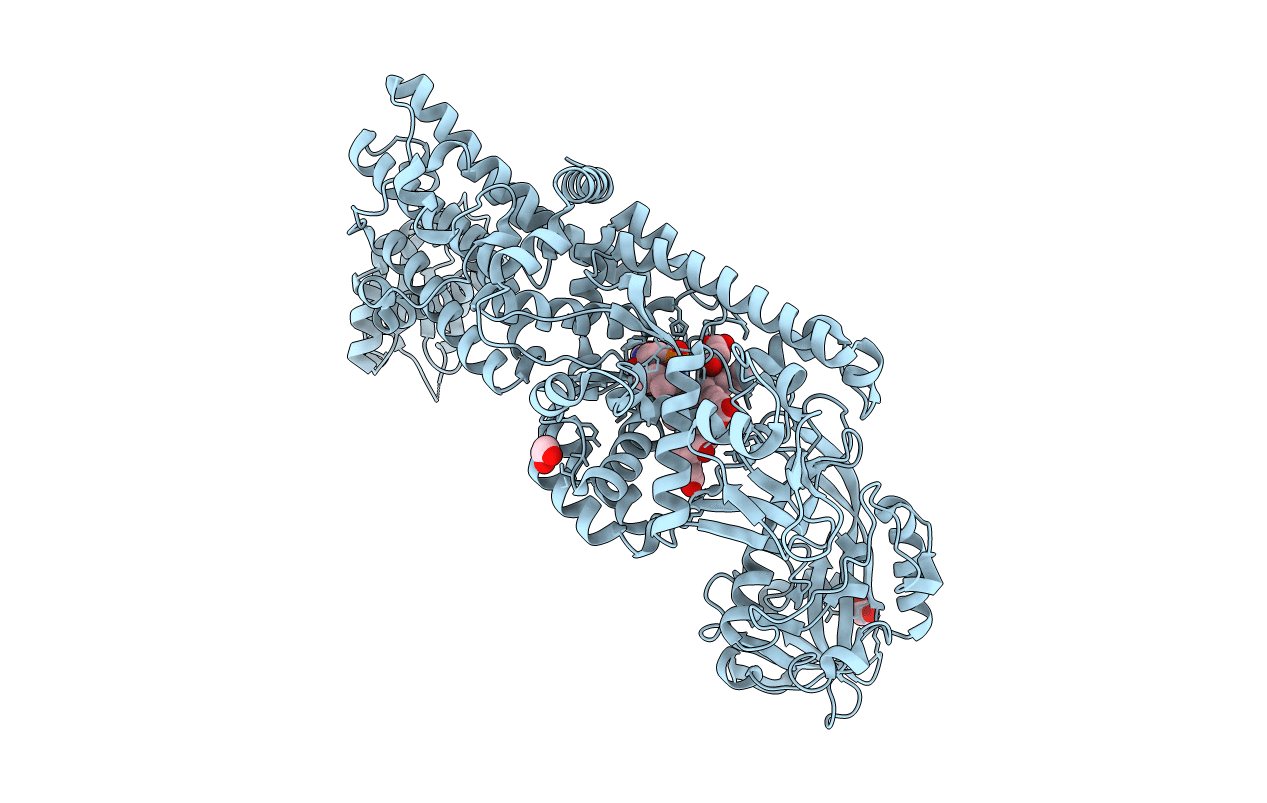 7D5C image