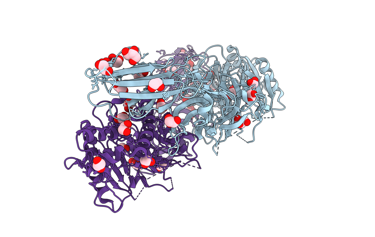 7D5V image