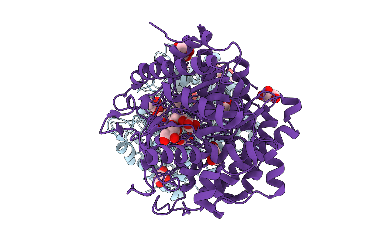 7D6B image
