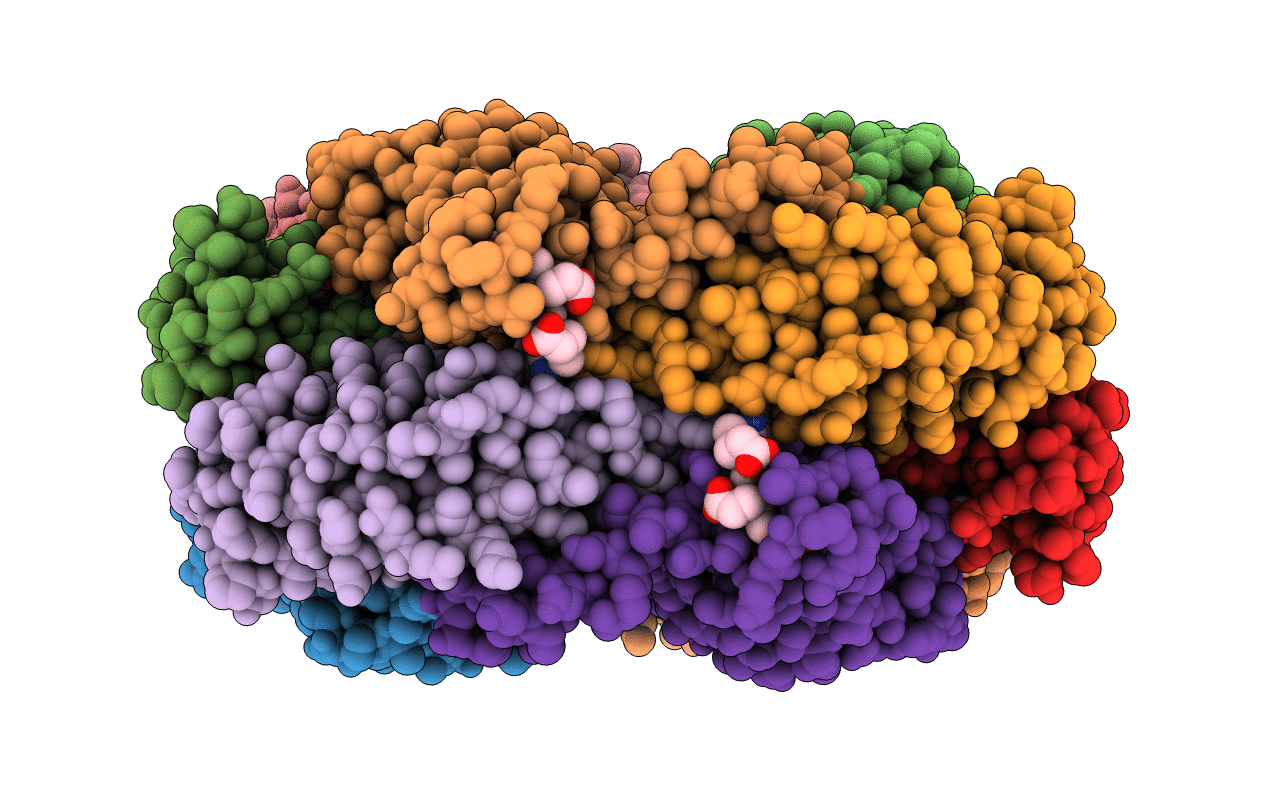 7D6W image