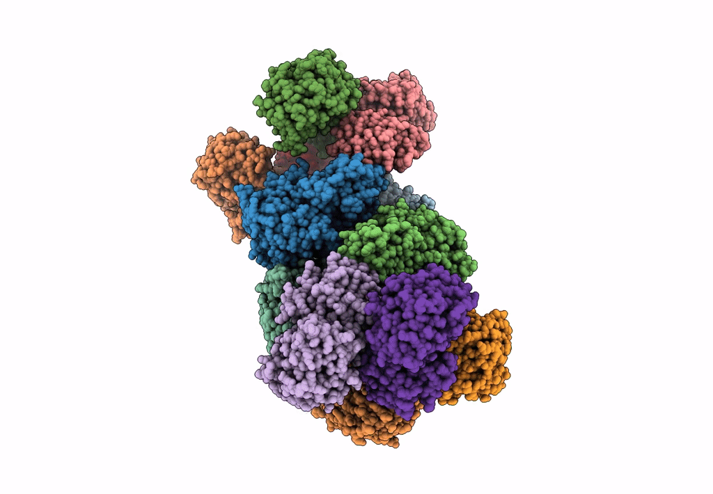 7D72 image