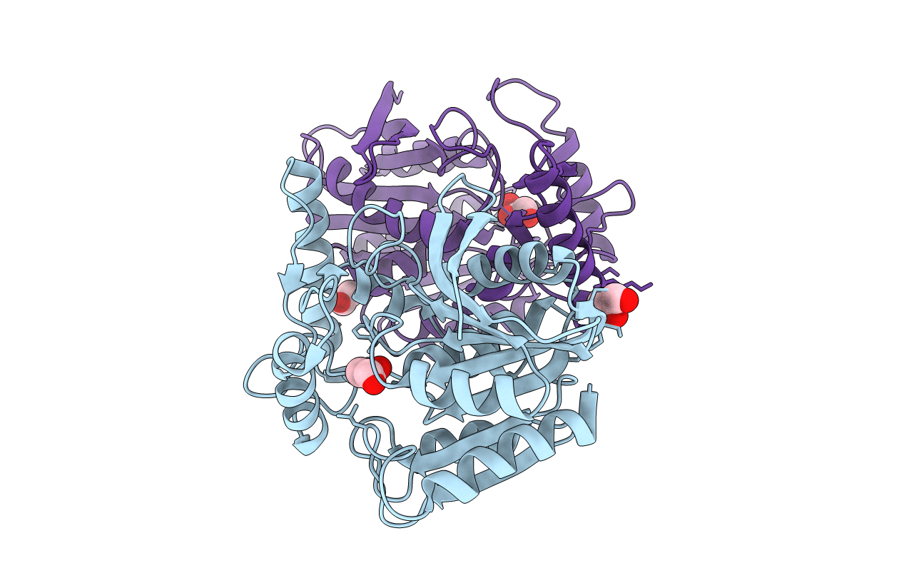 7D78 image