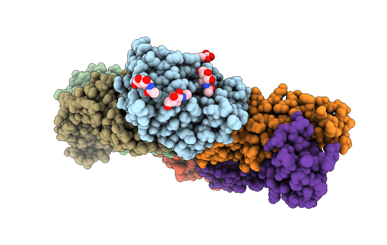 7D85 image
