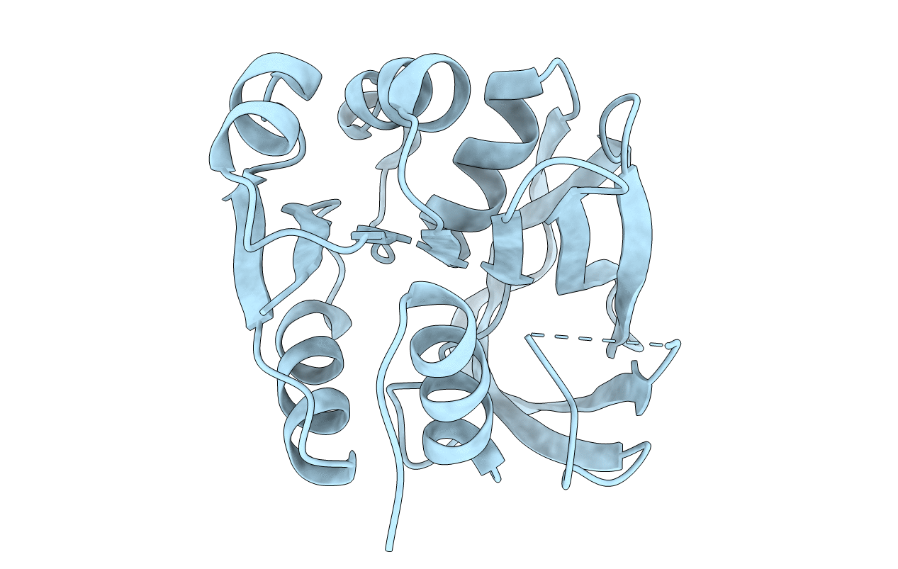 7D96 image