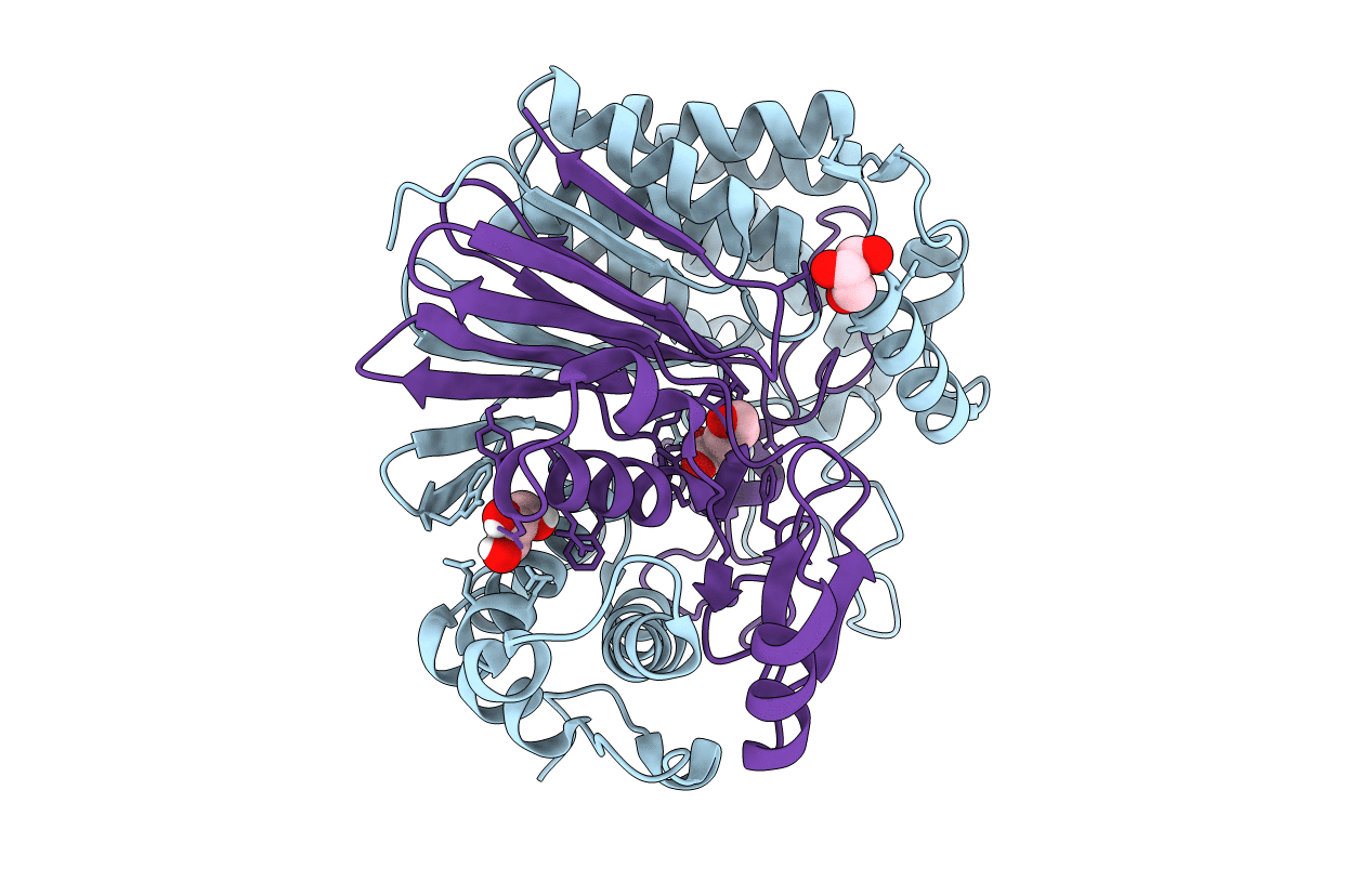 7D9E image