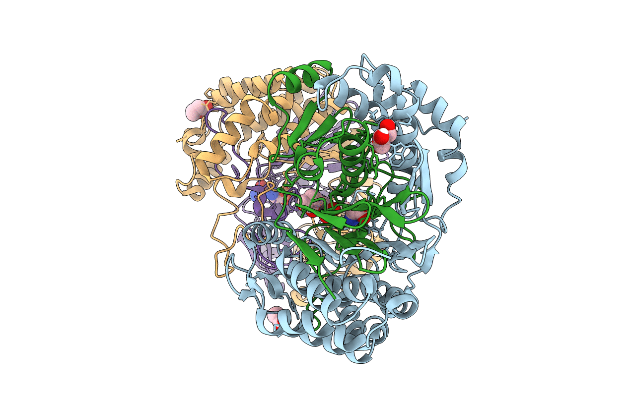 7D9X image