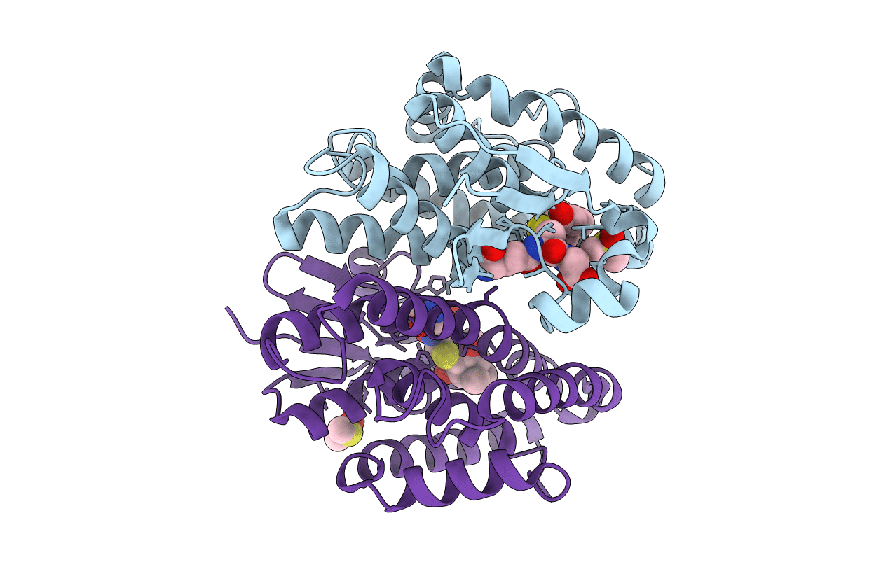 7DB1 image