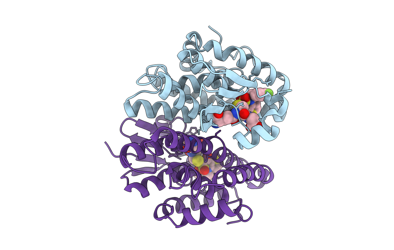 7DB4 image