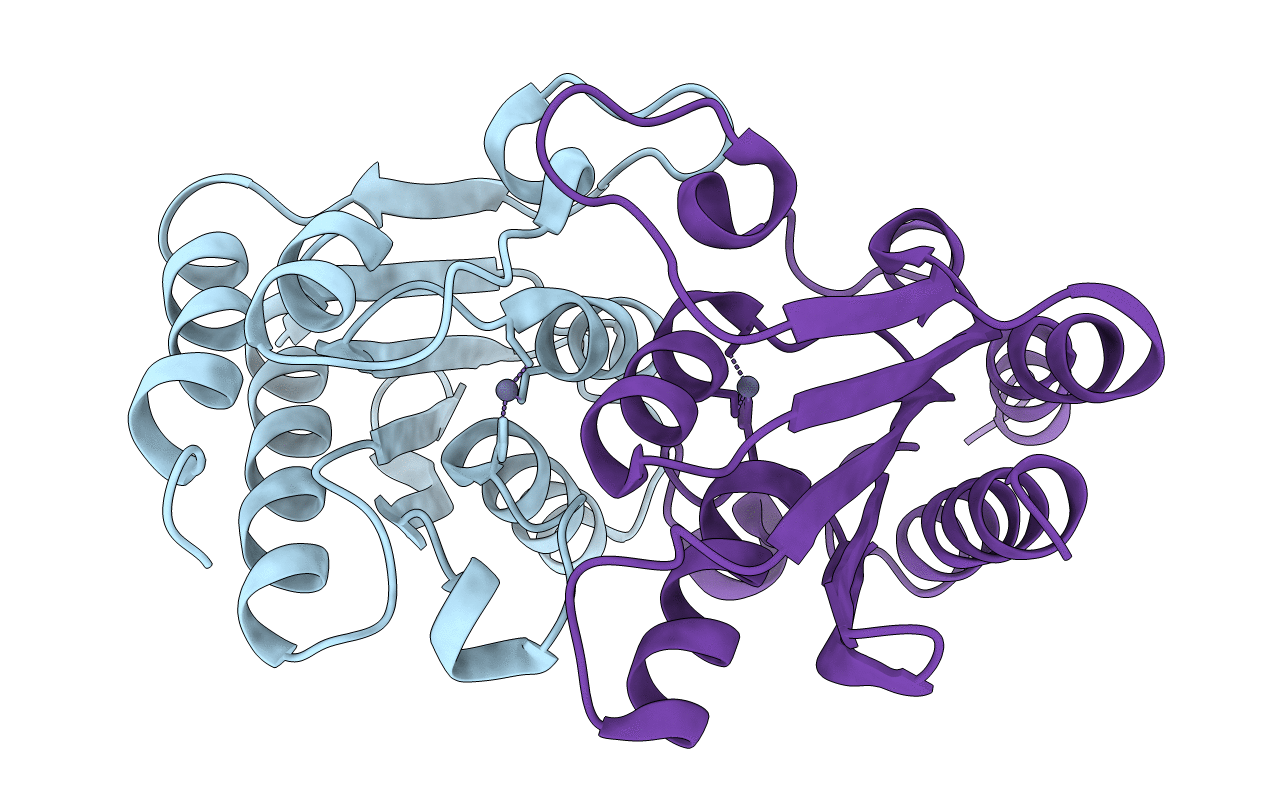 7DBF image