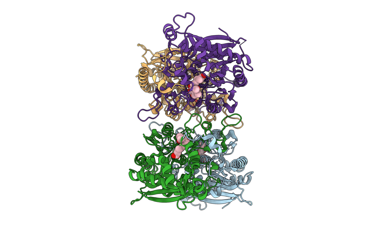 7DBL image