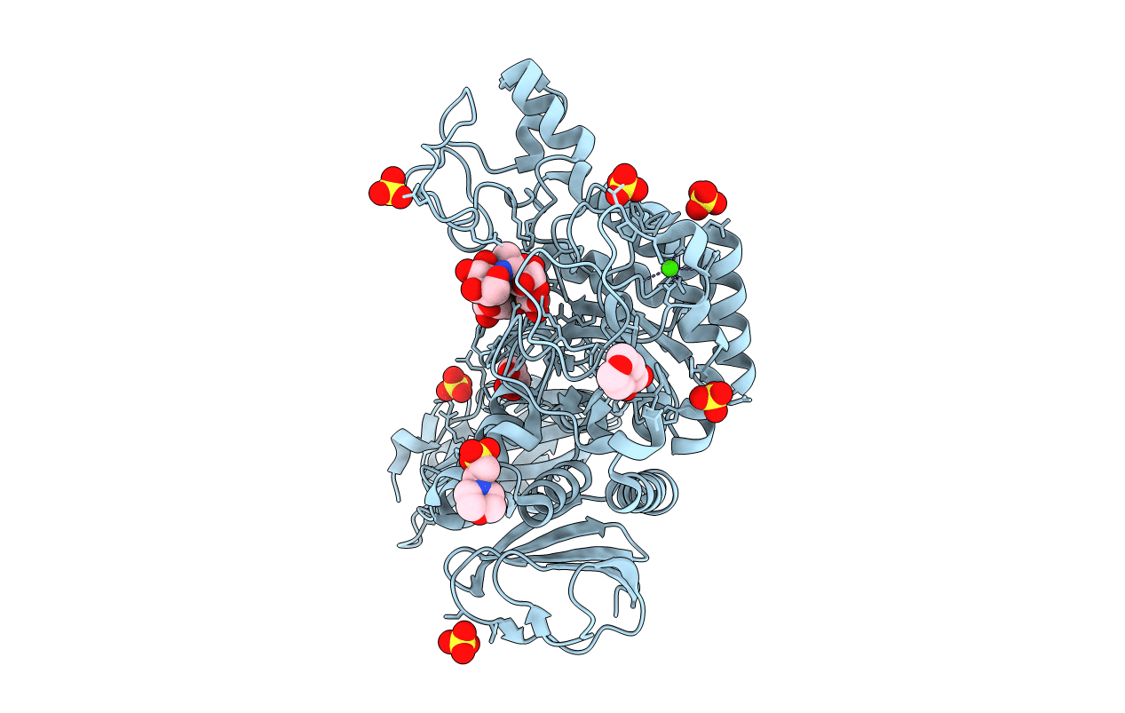 7DCH image