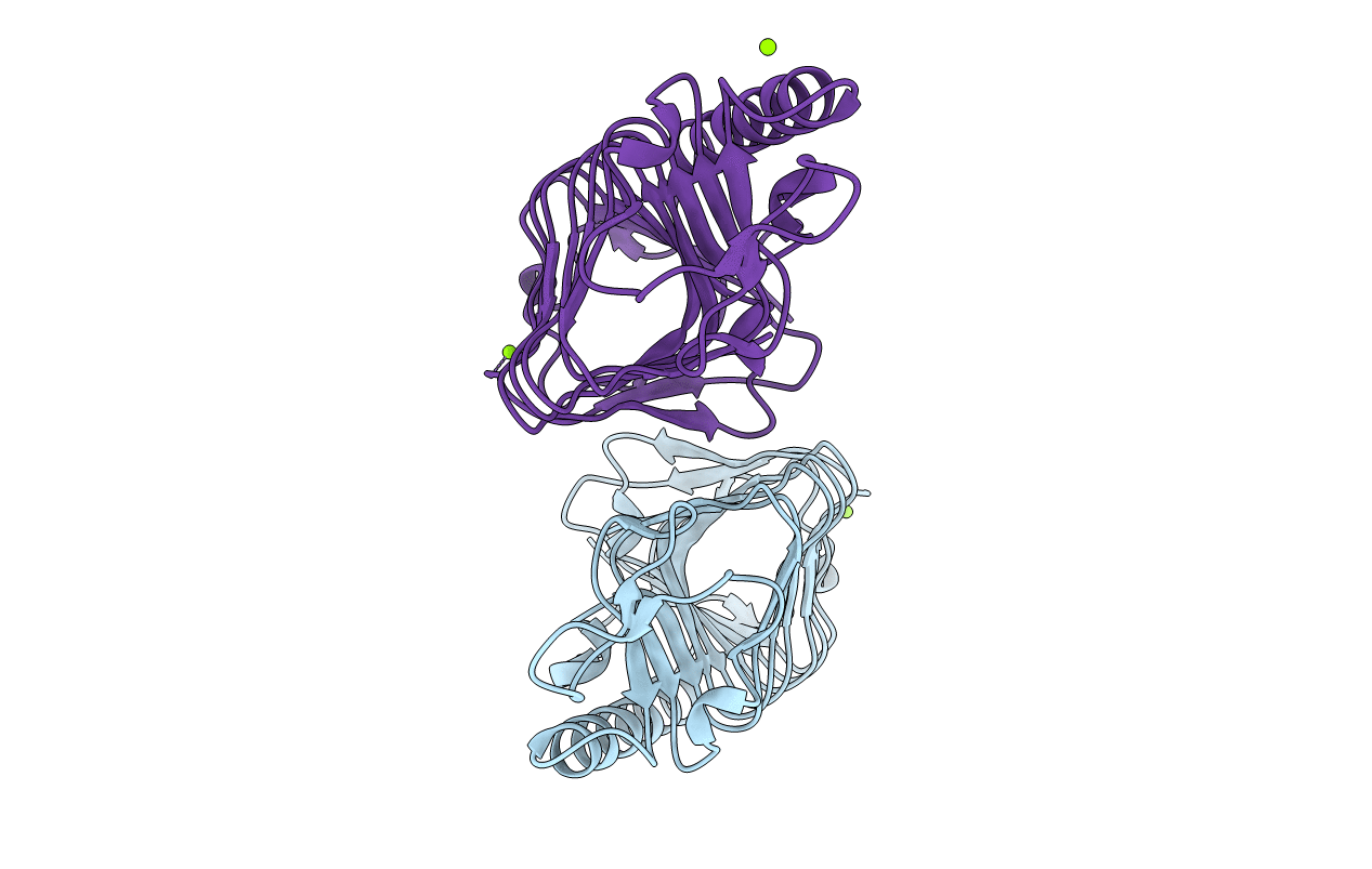 7DDB image
