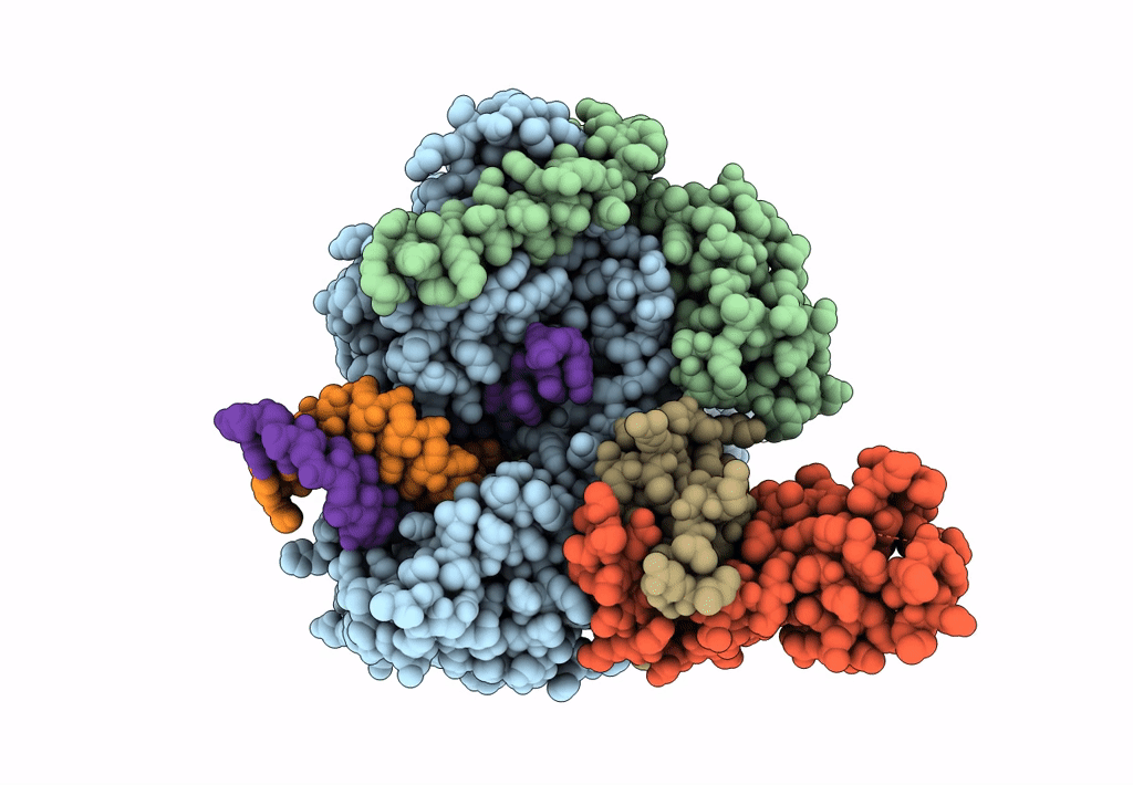 7DFG image