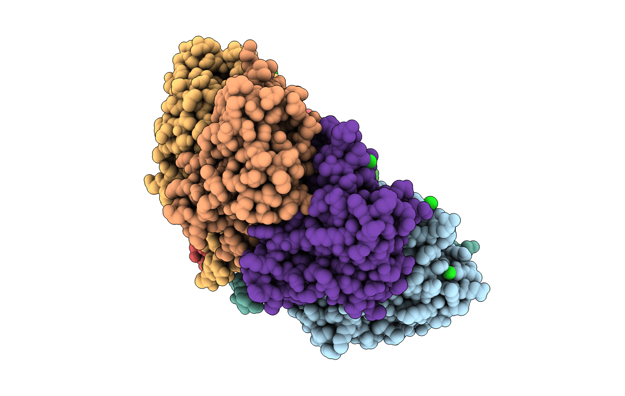 7DFT image