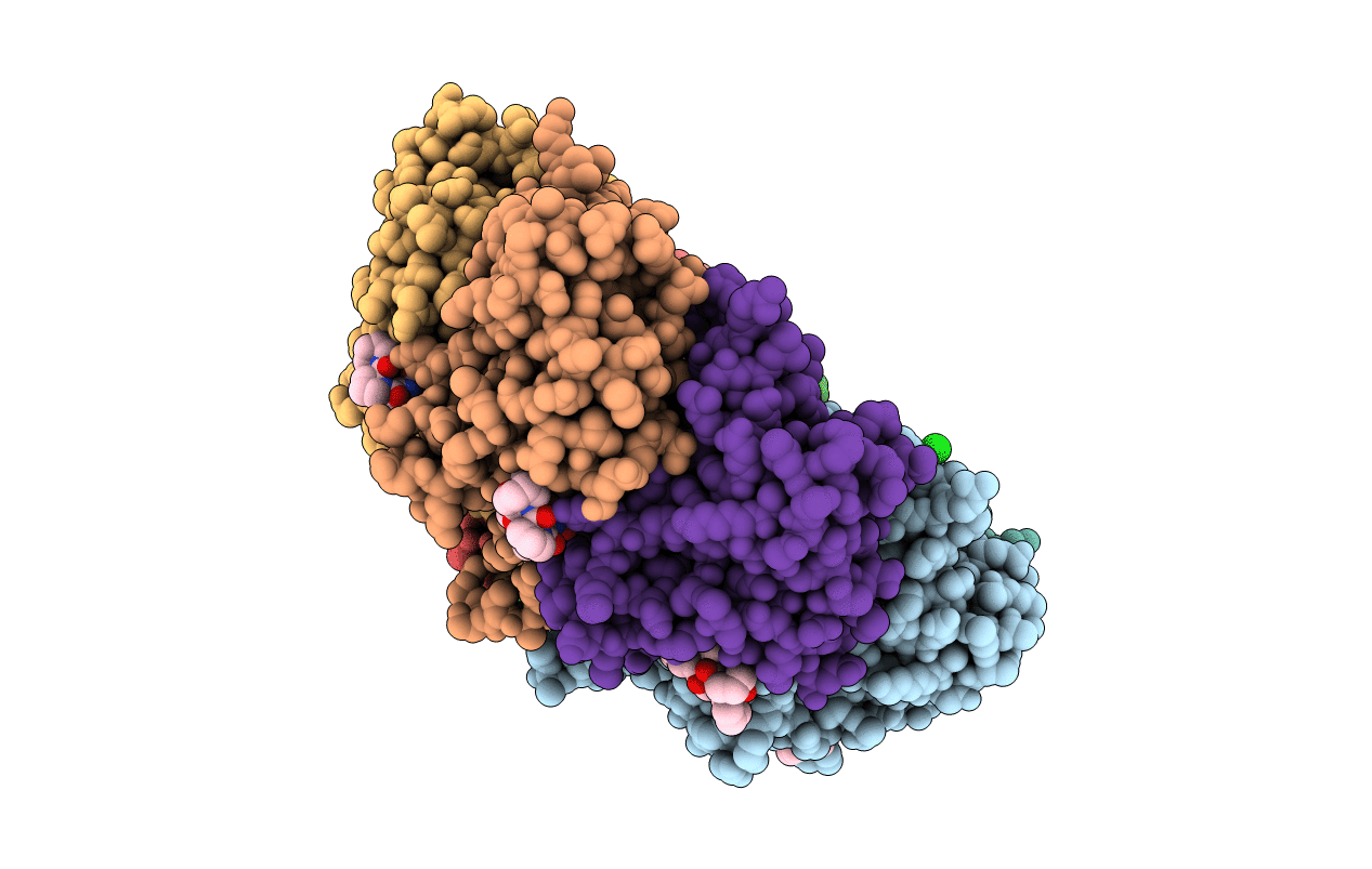 7DFU image