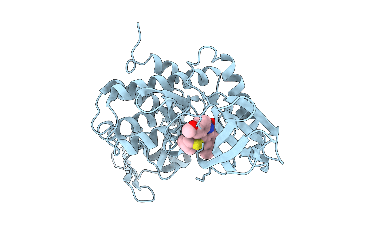 7DHH image