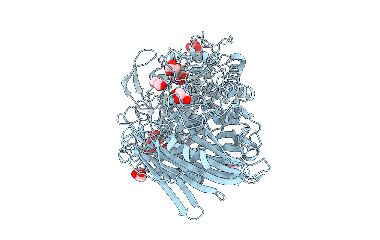 7DKS image