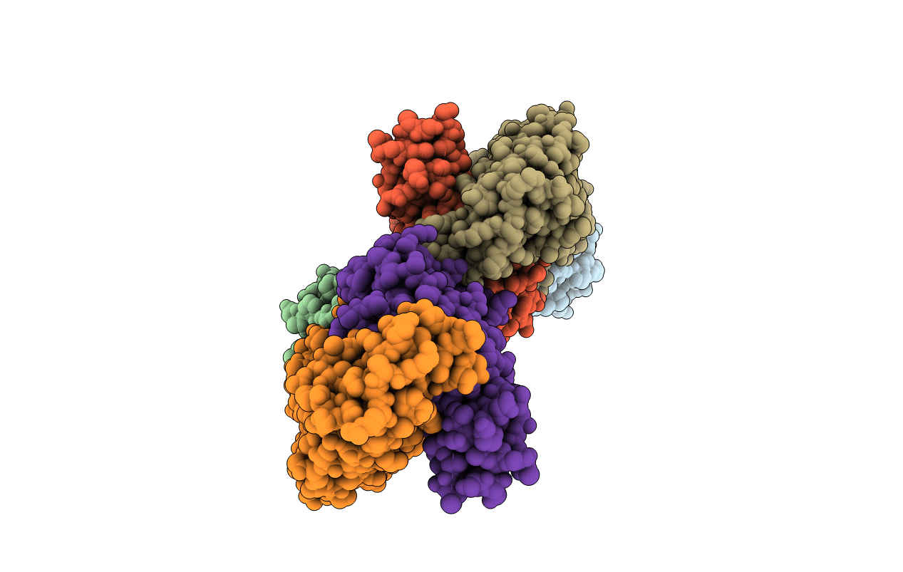 7DM1 image