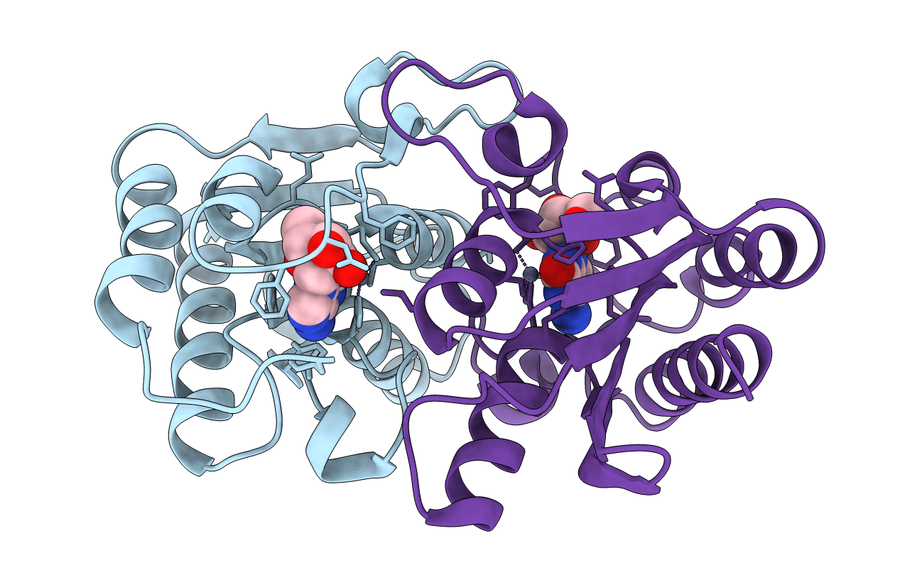 7DM6 image