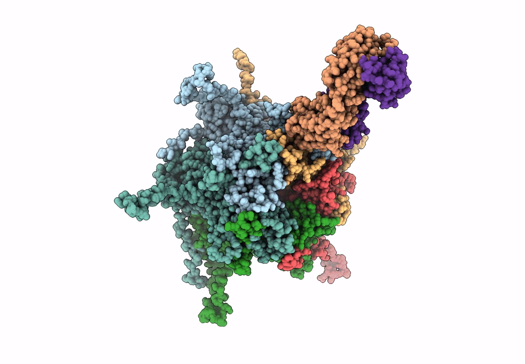 7DNH image