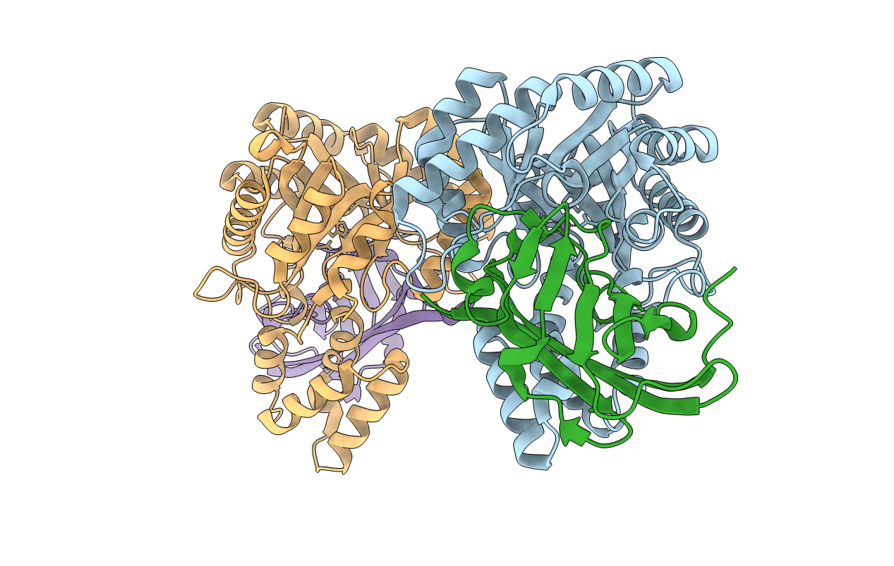 7DNM image