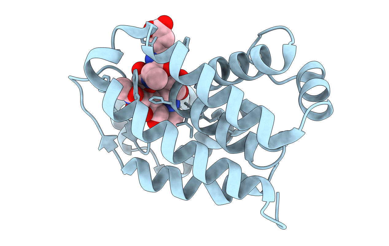 7DNP image