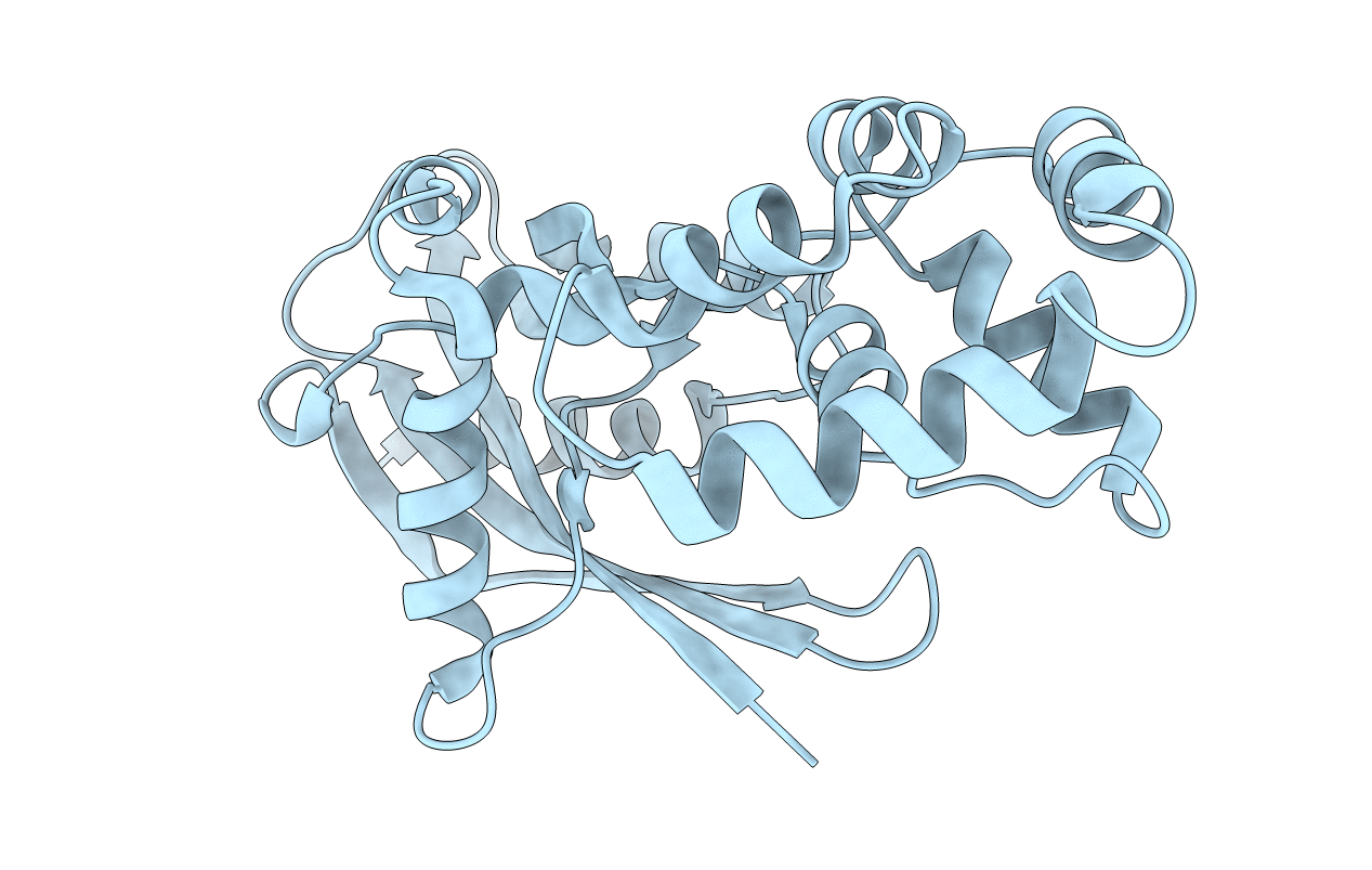 7DNT image