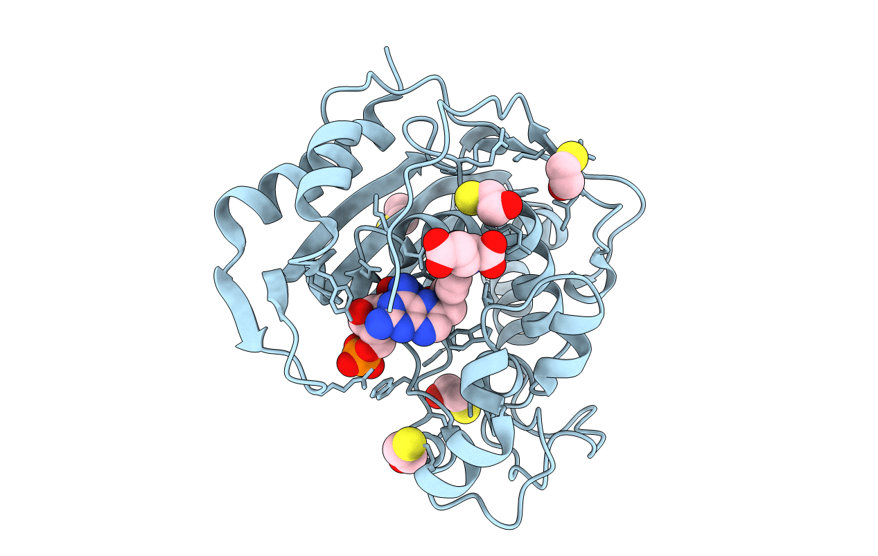 7DP4 image