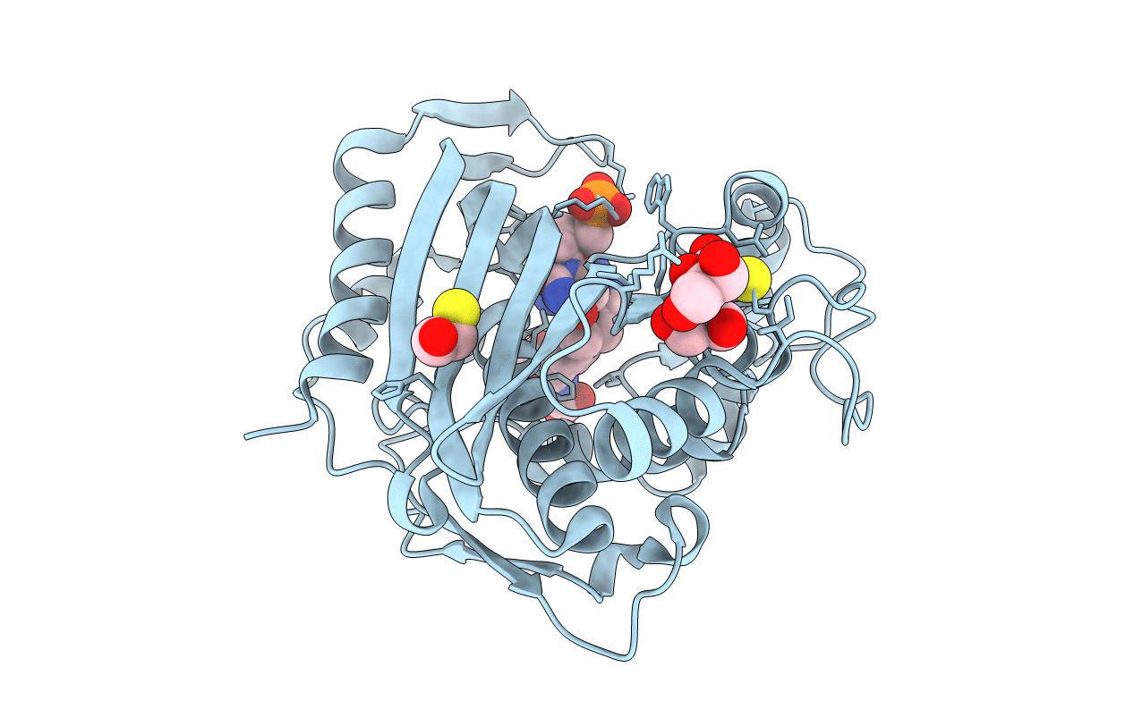 7DP5 image