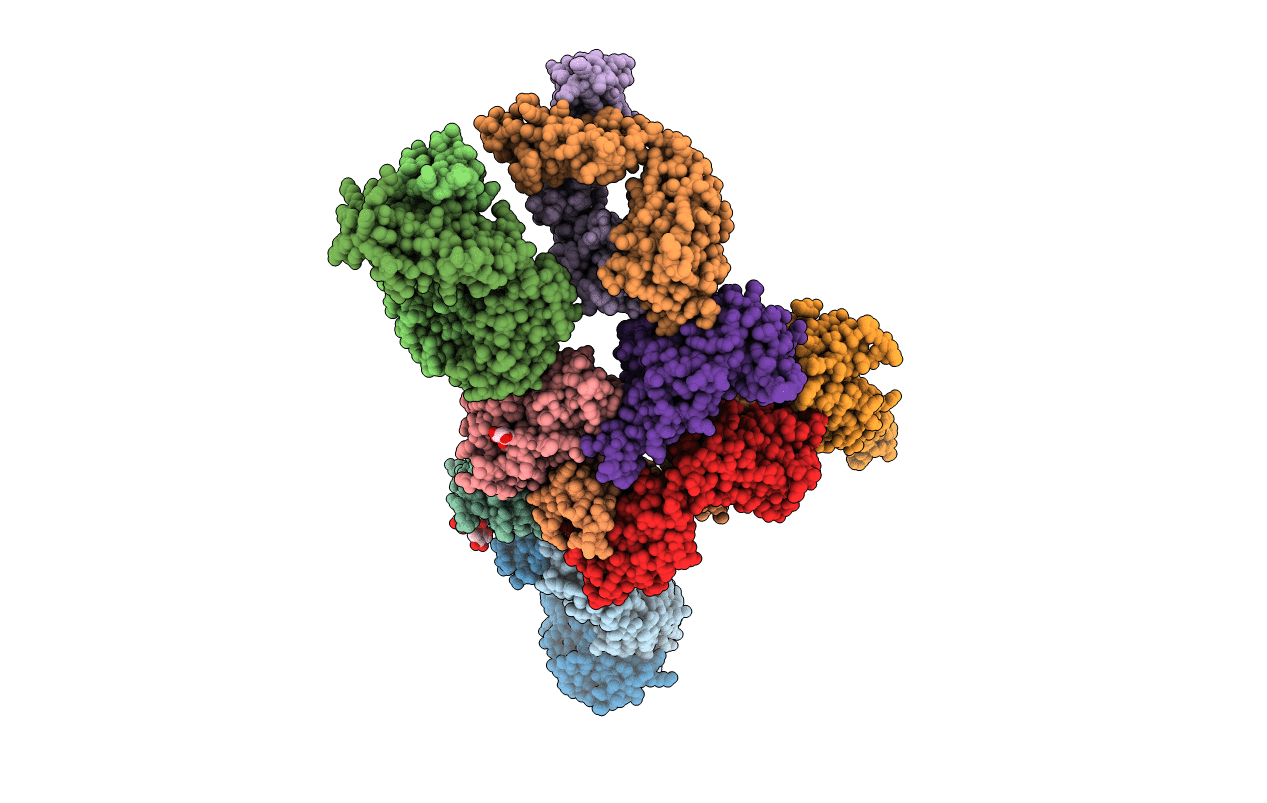 7DPM image