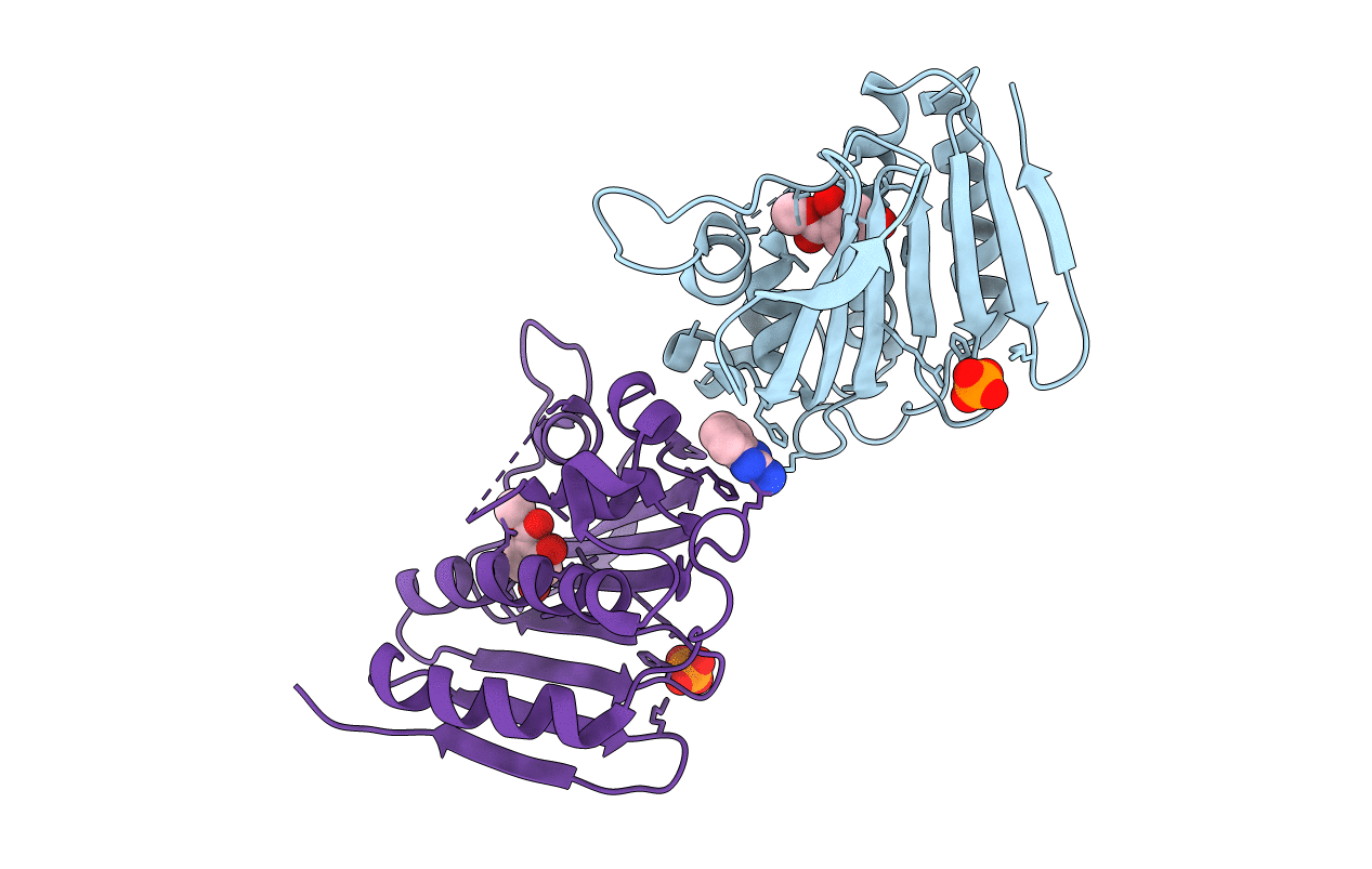 7DQF image