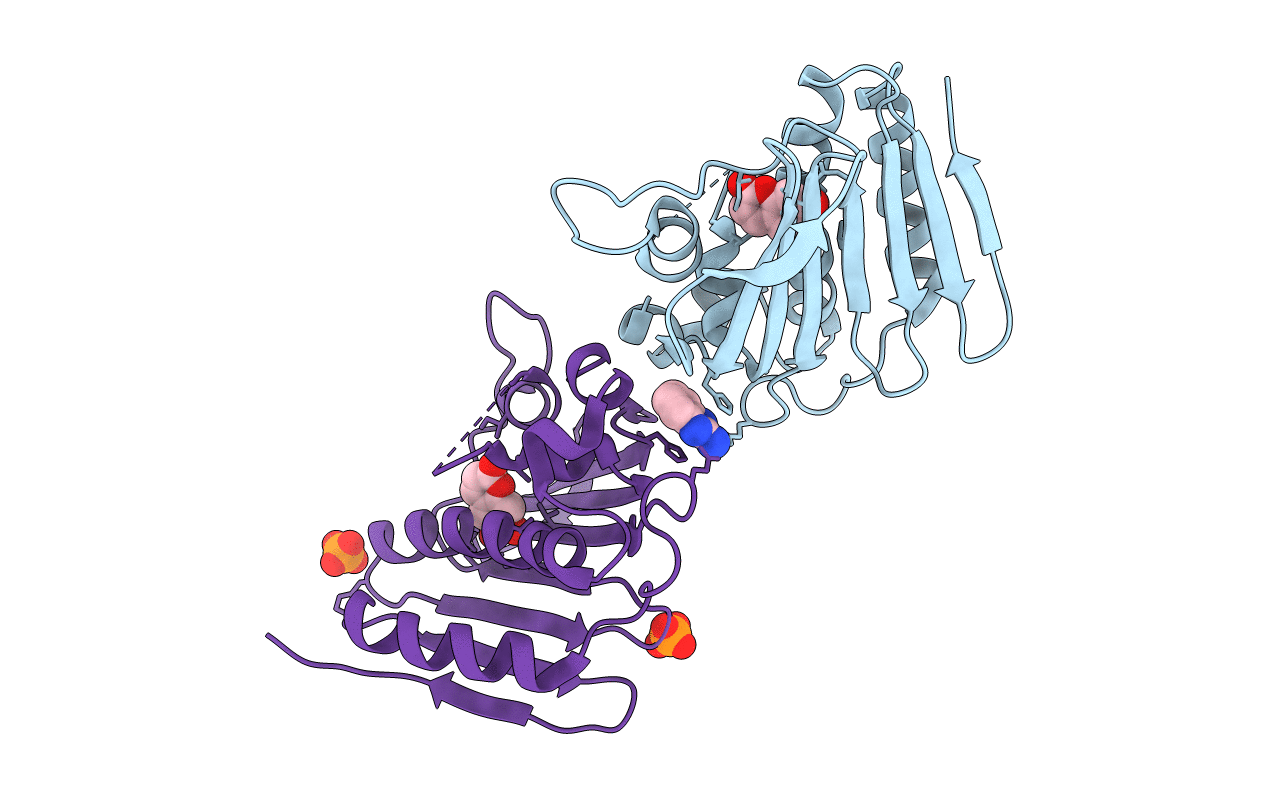 7DQI image
